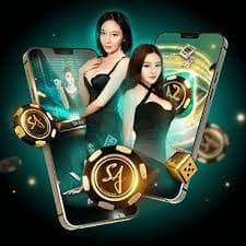 Nền tảng vn56